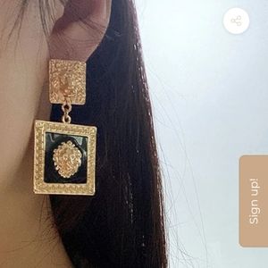 Fashion earrings
